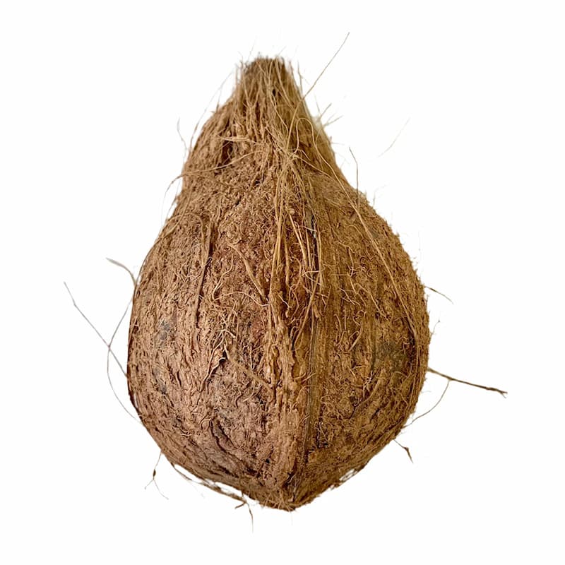 Semi Husked Coconut 1
